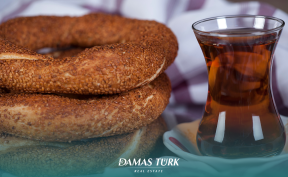 Cultural Considerations: Integrating into Turkish Communities as a Property Owner