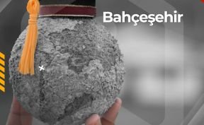 الجامعات والمدارس في بهشة شهير