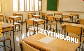 الجامعات والمدارس في زيتون بورنو 2023