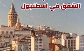 أسعار الشقق في اسطنبول منطقة زيتون بورنو