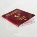 7 Important Reasons That Push Foreigners to Obtain Turkish Citizenship