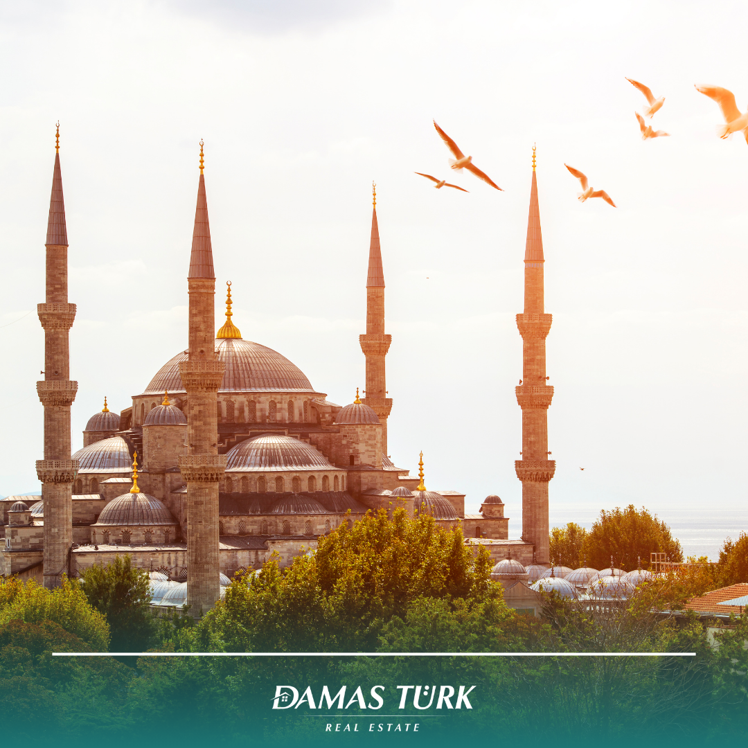 الربيع يطرق أبواب تركيا: ارتفاع تدريجي في درجات الحرارة وبداية موسم الاستثمار