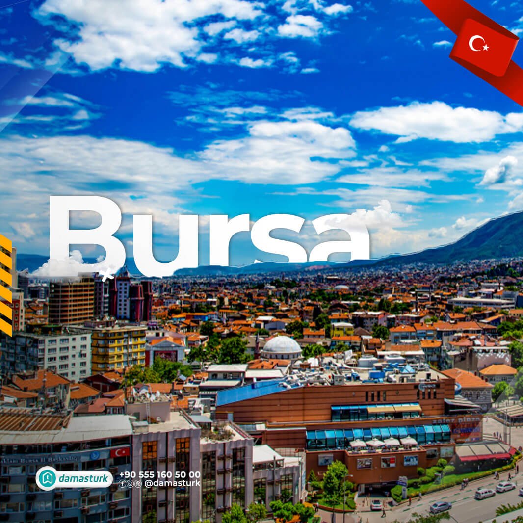 Propriétés à vendre à Bursa 2022