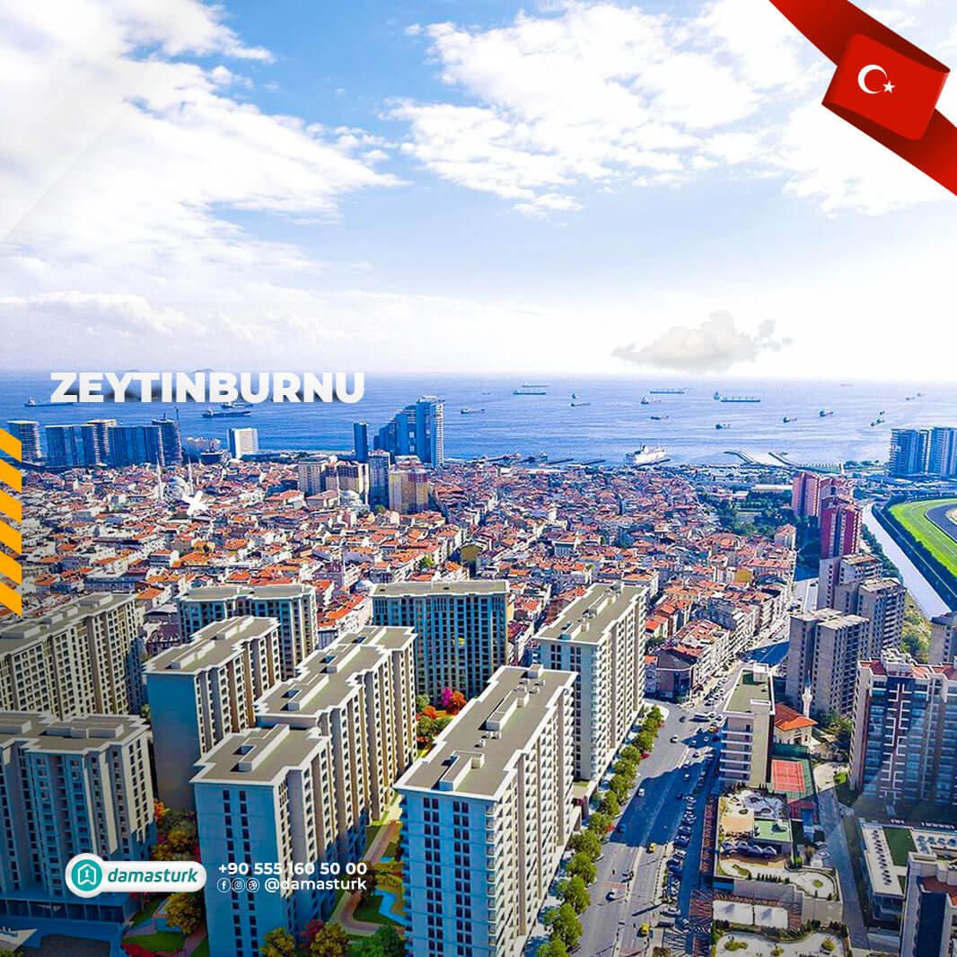 عقارات للبيع في زيتون بورنو